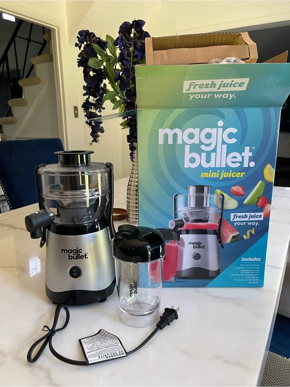 Mini Juicer in Silver and Black - Compact Home Juicer